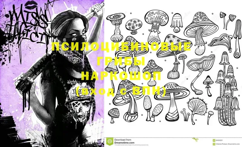 дарк нет клад  продажа наркотиков  Рассказово  Галлюциногенные грибы Magic Shrooms 